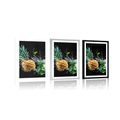 POSTER WITH MOUNT ORGANIC FRUITS AND VEGETABLES - WITH A KITCHEN MOTIF - POSTERS