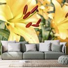 Wallpapers lilies