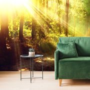 WALL MURAL SUN RAYS IN THE FOREST - WALLPAPERS NATURE - WALLPAPERS