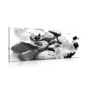 CANVAS PRINT MAGICAL INTERPLAY OF STONES AND ORCHIDS IN BLACK AND WHITE - BLACK AND WHITE PICTURES - PICTURES