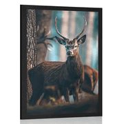 POSTER DEER IN A FOREST - ANIMALS - POSTERS