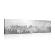 CANVAS PRINT FOG OVER THE FOREST IN BLACK AND WHITE - BLACK AND WHITE PICTURES - PICTURES
