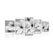 5-PIECE CANVAS PRINT LUXURIOUS MAGNOLIA WITH PEARLS IN BLACK AND WHITE DESIGN - BLACK AND WHITE PICTURES - PICTURES