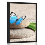 POSTER BLUE BUTTERFLY ON A ZEN STONE - FENG SHUI - POSTERS