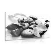 CANVAS PRINT BEAUTIFUL INTERPLAY OF STONES AND ORCHIDS IN BLACK AND WHITE - BLACK AND WHITE PICTURES - PICTURES