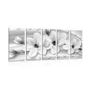 5-PIECE CANVAS PRINT LUXURIOUS MAGNOLIA WITH PEARLS IN BLACK AND WHITE - BLACK AND WHITE PICTURES - PICTURES