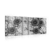 CANVAS PRINT ABSTRACT FLOWERS ON A MARBLE BACKGROUND IN BLACK AND WHITE - BLACK AND WHITE PICTURES - PICTURES