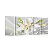 5-PIECE CANVAS PRINT WHITE LILY ON AN INTERESTING BACKGROUND - PICTURES FLOWERS - PICTURES