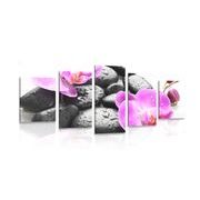5-PIECE CANVAS PRINT BEAUTIFUL INTERPLAY OF STONES AND ORCHIDS - PICTURES FENG SHUI - PICTURES