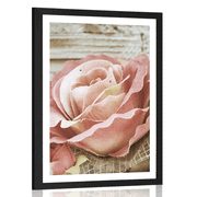 POSTER WITH MOUNT ELEGANT VINTAGE ROSE - FLOWERS - POSTERS