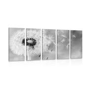 5-PIECE CANVAS PRINT MAGICAL DANDELION IN BLACK AND WHITE - BLACK AND WHITE PICTURES - PICTURES