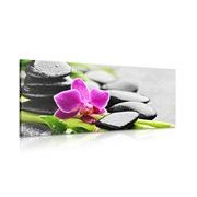 CANVAS PRINT WELLNESS STILL LIFE WITH A PURPLE ORCHID - PICTURES FENG SHUI - PICTURES
