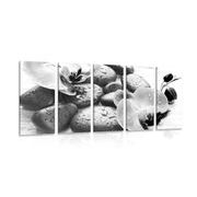 5-PIECE CANVAS PRINT BEAUTIFUL INTERPLAY OF STONES AND ORCHIDS IN BLACK AND WHITE - BLACK AND WHITE PICTURES - PICTURES
