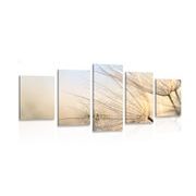 5-PIECE CANVAS PRINT DANDELION IN A FIELD AT SUNRISE - PICTURES FLOWERS - PICTURES