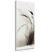 CANVAS PRINT DRY GRASS BLADES - PICTURES OF GRASS - PICTURES