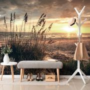 WALL MURAL SUNSET ON A BEACH - WALLPAPERS NATURE - WALLPAPERS