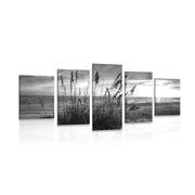5-PIECE CANVAS PRINT SUNSET ON A BEACH IN BLACK AND WHITE - BLACK AND WHITE PICTURES - PICTURES