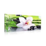 CANVAS PRINT ORCHID WITH A JAPANESE THEME - PICTURES FENG SHUI - PICTURES