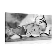 CANVAS PRINT ROMANTIC CONFESSION IN BLACK AND WHITE DESIGN: LOVE - BLACK AND WHITE PICTURES - PICTURES