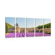 5-PIECE CANVAS PRINT PROVENCE WITH LAVENDER FIELDS - PICTURES FLOWERS - PICTURES