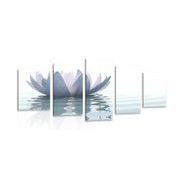 5-PIECE CANVAS PRINT LOTUS FLOWER - PICTURES FENG SHUI - PICTURES