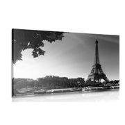 CANVAS PRINT AUTUMN PARIS IN BLACK AND WHITE - BLACK AND WHITE PICTURES - PICTURES