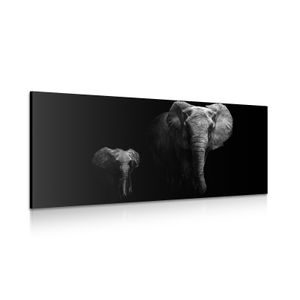 CANVAS PRINT BABY ELEPHANT AND ELEPHANTESS - BLACK AND WHITE PICTURES - PICTURES