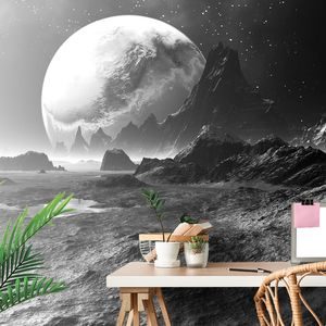 SELF ADHESIVE WALLPAPER FANTASY BLACK AND WHITE LANDSCAPE - SELF-ADHESIVE WALLPAPERS - WALLPAPERS