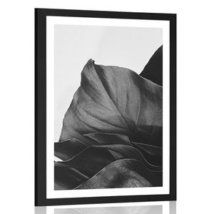 POSTER WITH MOUNT ENCHANTING MONSTERA LEAF IN BLACK AND WHITE - BLACK AND WHITE - POSTERS