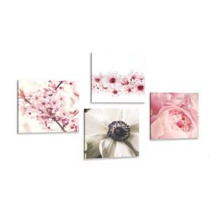CANVAS PRINT SET DELICACY OF FLOWERS - SET OF PICTURES - PICTURES