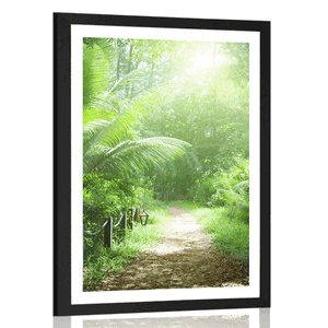POSTER WITH MOUNT PATH ON THE ISLAND OF SEYCHELLES - NATURE - POSTERS