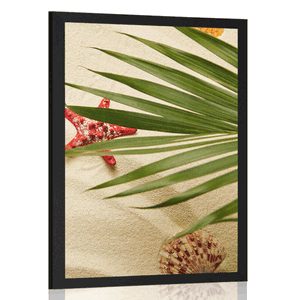 POSTER SEASHIELLS UNDER PALM LEAVES - STILL LIFE - POSTERS