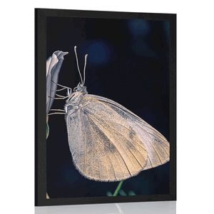 POSTER BUTTERFLY ON A FLOWER - ANIMALS - POSTERS