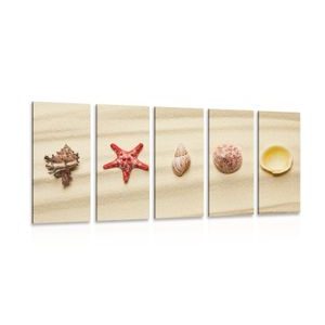 5-PIECE CANVAS PRINT SEASHELLS ON A SANDY BEACH - PICTURES OF NATURE AND LANDSCAPE - PICTURES