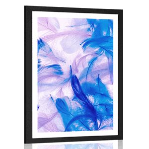 POSTER WITH MOUNT BEAUTIFUL FEATHERS - STILL LIFE - POSTERS