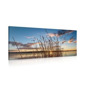 CANVAS PRINT CALM RIVER NEAR THE VILLAGE - PICTURES OF NATURE AND LANDSCAPE - PICTURES