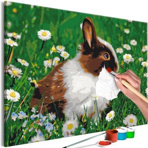 PICTURE PAINTING BY NUMBERS RABBIT IN THE MEADOW - PAINTING BY NUMBERS
