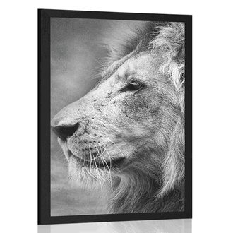 POSTER AFRICAN LION IN BLACK AND WHITE - BLACK AND WHITE - POSTERS