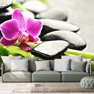 FOTOTAPETA ZÁTIŠÍ S FIALOVOU ORCHIDEJÍ - TAPETY FENG SHUI - TAPETY