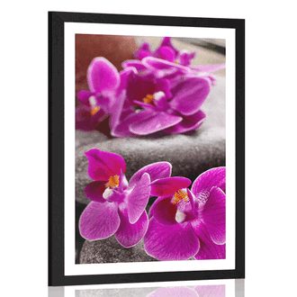 POSTER WITH MOUNT BEAUTIFUL ORCHID AND ZEN STONES - FENG SHUI - POSTERS