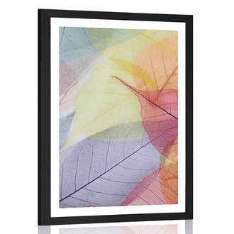 POSTER WITH MOUNT VEINS ON COLORED LEAVES - NATURE - POSTERS