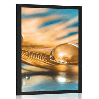 POSTER DROP OF WATER ON A GOLDEN FEATHER - STILL LIFE - POSTERS