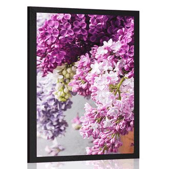 POSTER LILAC IN SHADES OF PINK - FLOWERS - POSTERS