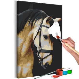 PICTURE PAINTING BY NUMBERS BEAUTIFUL HORSE PORTRAIT - PAINTING BY NUMBERS