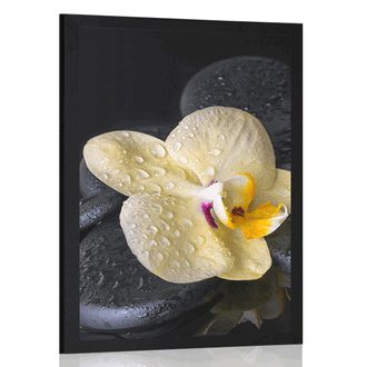 POSTER ZEN STONES WITH A YELLOW ORCHID - FENG SHUI - POSTERS