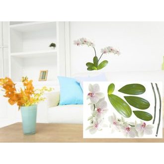 DECORATIVE WALL STICKERS BEAUTIFUL ORCHID - STICKERS