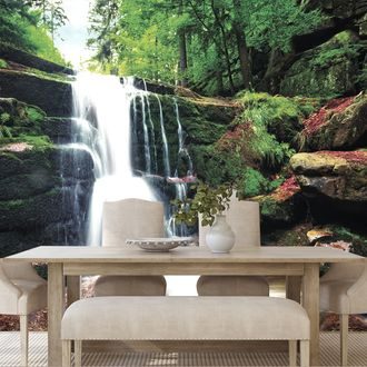WALL MURAL WATERFALL IN THE FOREST - WALLPAPERS NATURE - WALLPAPERS