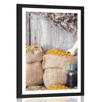 POSTER WITH MOUNT MEDICINAL HERBS - STILL LIFE - POSTERS