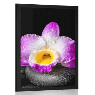 POSTER WITH MOUNT PURPLE ORCHID ON ZEN STONES - FENG SHUI - POSTERS