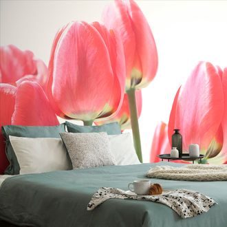 WALL MURAL RED FIELD TULIPS - WALLPAPERS FLOWERS - WALLPAPERS